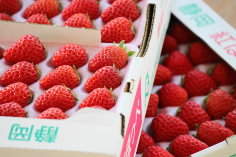 f:id:kitahira:20200116164054j:plain