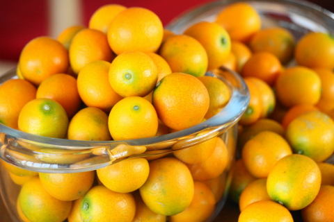 f:id:kitahira:20200116164133j:plain