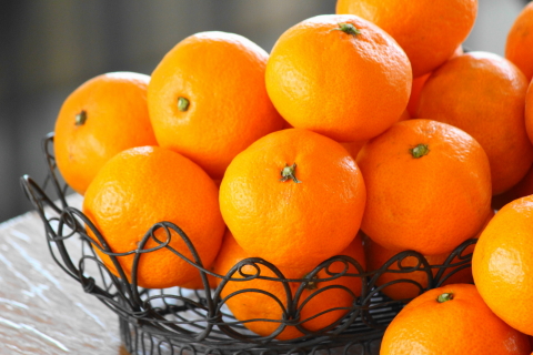 f:id:kitahira:20200116165116j:plain