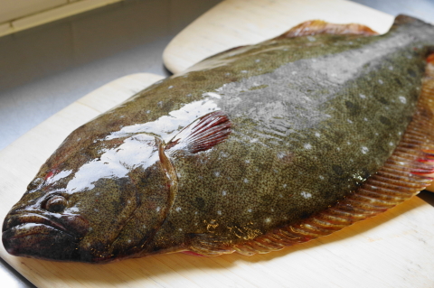 f:id:kitahira:20200116165349j:plain