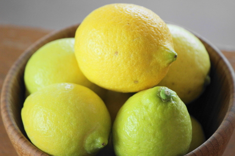 f:id:kitahira:20200116165435j:plain