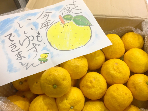 f:id:kitahira:20200116165447j:plain