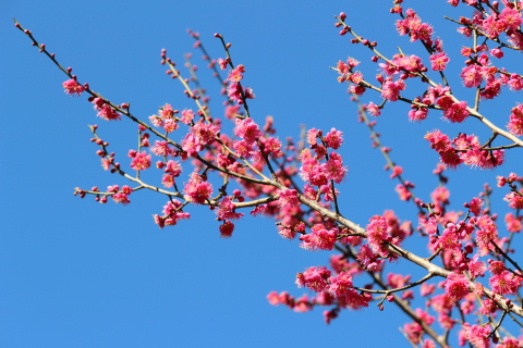 f:id:kitahira:20200202115343j:plain