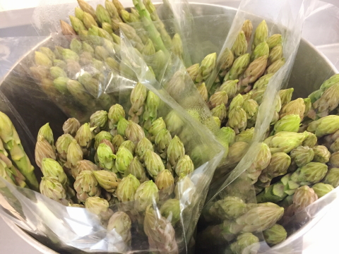 f:id:kitahira:20200229160124j:plain