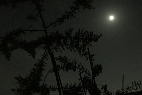 f:id:kitahira:20200314015221j:plain