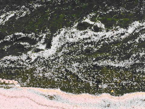 f:id:kitahira:20200403220032j:plain