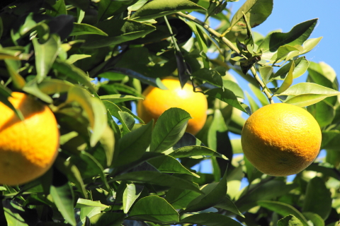 f:id:kitahira:20200413201002j:plain f:id:kitahira:20200413201002j:plain