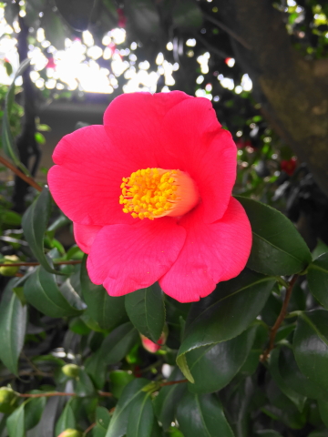 f:id:kitahira:20200430143711j:plain f:id:kitahira:20200430143711j:plain