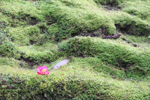 f:id:kitahira:20200430143722j:plain f:id:kitahira:20200430143722j:plain