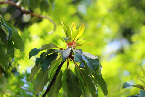 f:id:kitahira:20200430143751j:plain f:id:kitahira:20200430143751j:plain