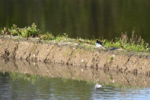 f:id:kitahira:20200513155859j:plain