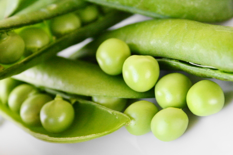 f:id:kitahira:20200513155913j:plain