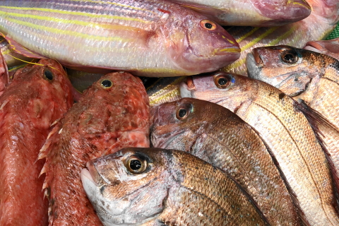 f:id:kitahira:20200805111008j:plain