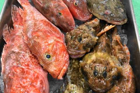 f:id:kitahira:20200805111012j:plain