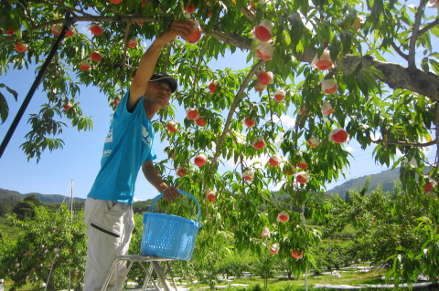 f:id:kitahira:20200817115511j:plain