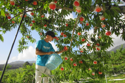 f:id:kitahira:20200817115514j:plain