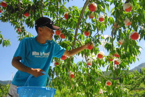 f:id:kitahira:20200817115518j:plain