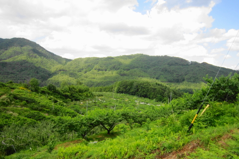 f:id:kitahira:20200817115521j:plain