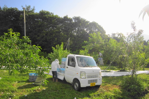 f:id:kitahira:20200817115535j:plain