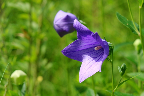 f:id:kitahira:20200817115541j:plain