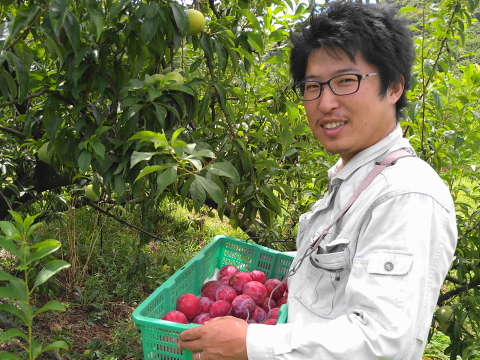 f:id:kitahira:20200908180402j:plain