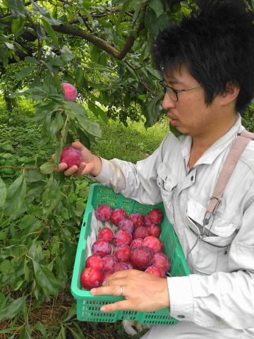 f:id:kitahira:20200908180416j:plain