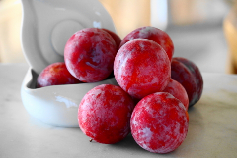 f:id:kitahira:20200908180446j:plain