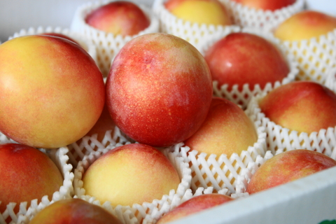 f:id:kitahira:20200908180827j:plain