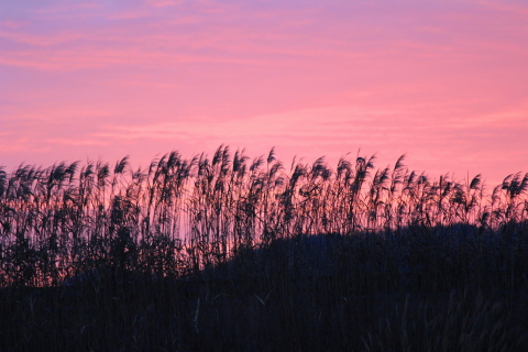 f:id:kitahira:20200930210034j:plain