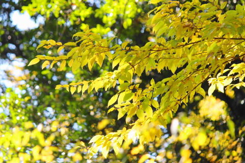 f:id:kitahira:20200930213613j:plain