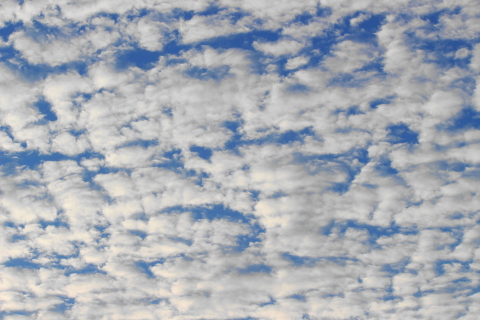 f:id:kitahira:20201108101946j:plain