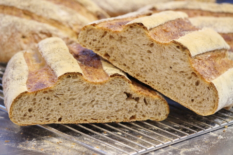 f:id:kitahira:20210119180956j:plain