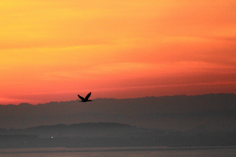 f:id:kitahira:20210131205354j:plain