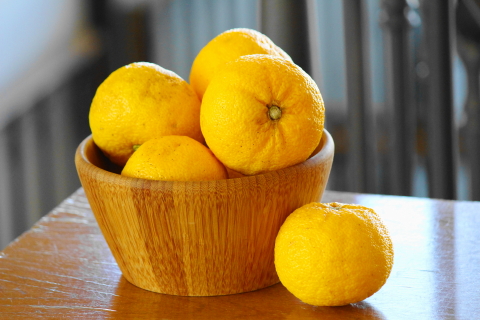 f:id:kitahira:20210131210325j:plain