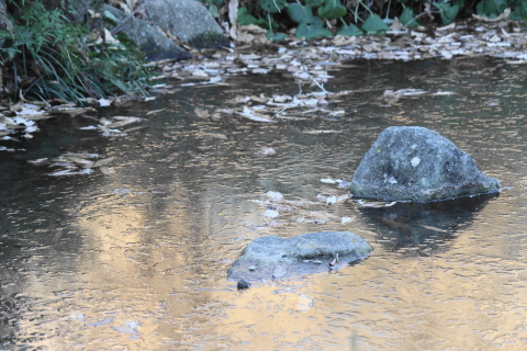 f:id:kitahira:20210131211642j:plain