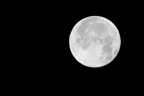 f:id:kitahira:20210803014419j:plain