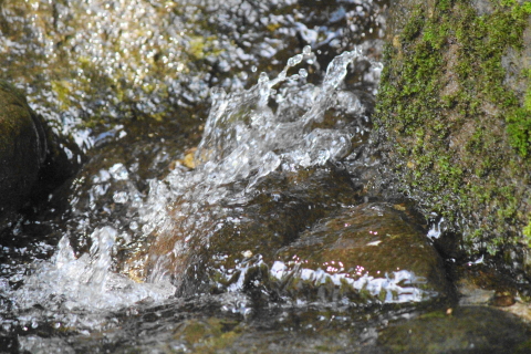 f:id:kitahira:20210803014428j:plain