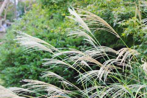 f:id:kitahira:20210901163509j:plain