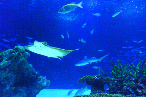 f:id:kitahira:20210901210711j:plain