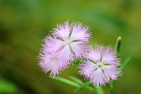 f:id:kitahira:20210913160025j:plain