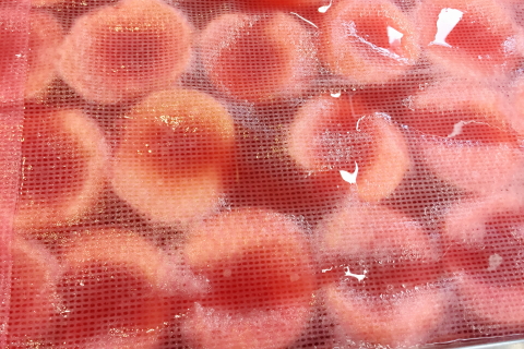 f:id:kitahira:20210913160052j:plain