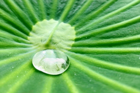 f:id:kitahira:20211006173627j:plain