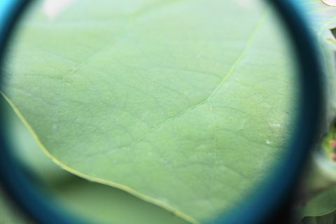 f:id:kitahira:20211006173649j:plain