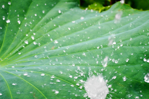 f:id:kitahira:20211006173651j:plain