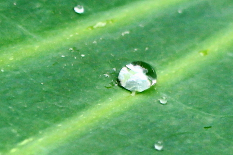 f:id:kitahira:20211006173654j:plain