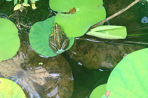 f:id:kitahira:20211006173702j:plain