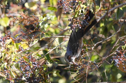 f:id:kitahira:20211230112255j:plain