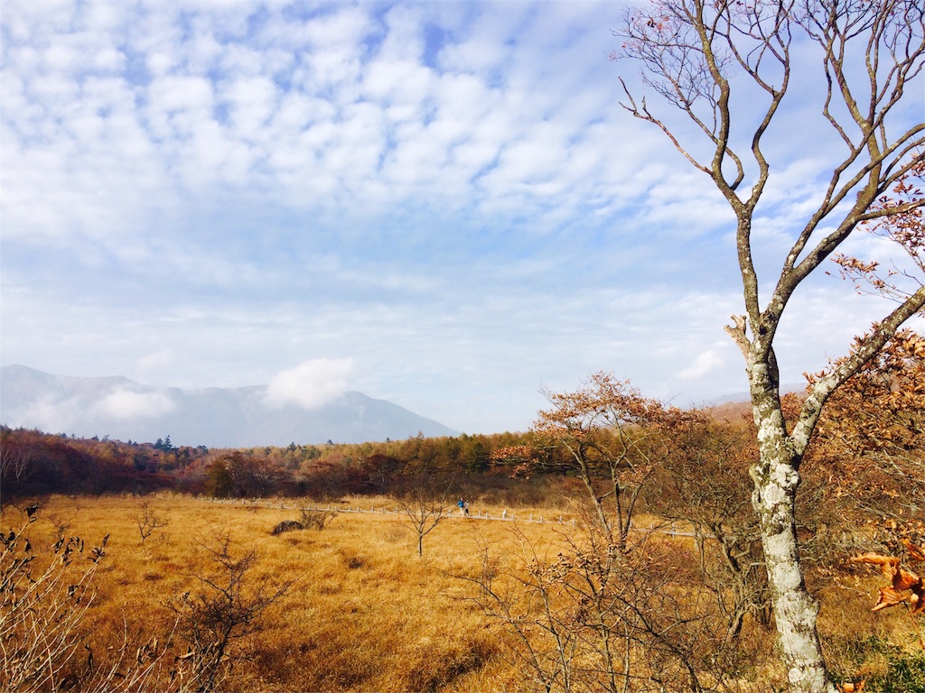 f:id:kitahonami:20161026073635j:image