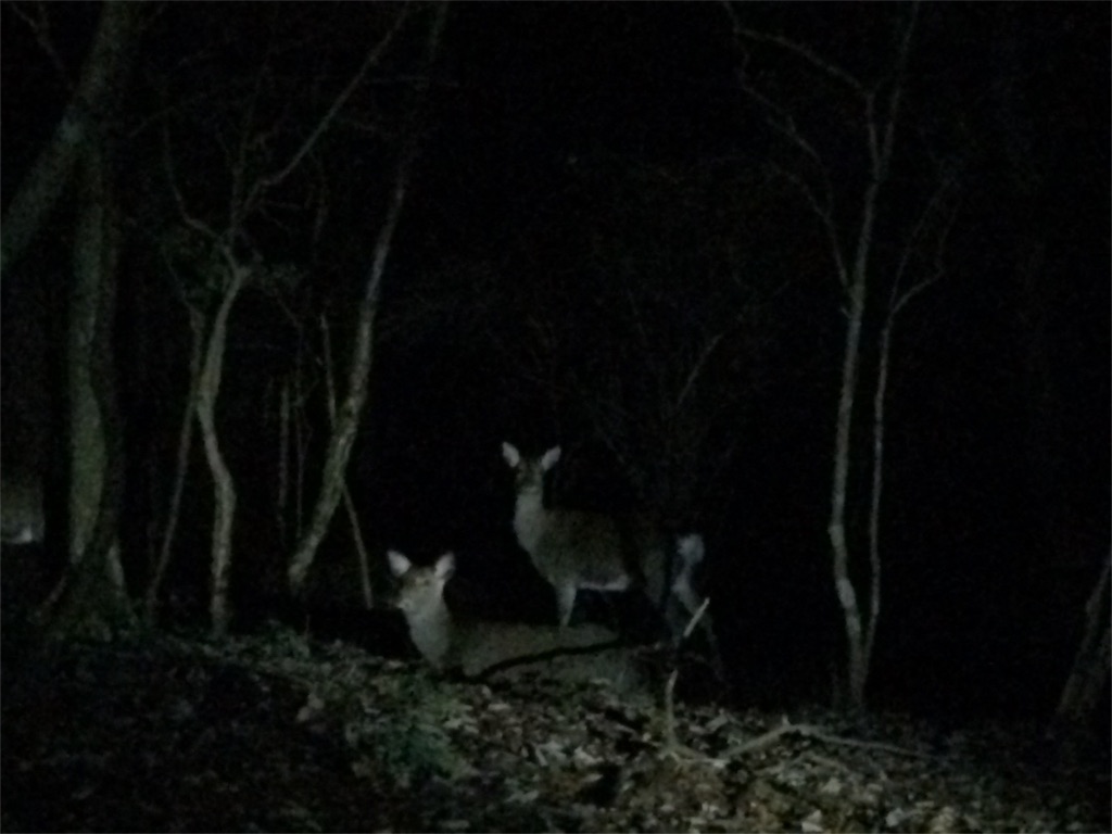 f:id:kitahonami:20161128182811j:image