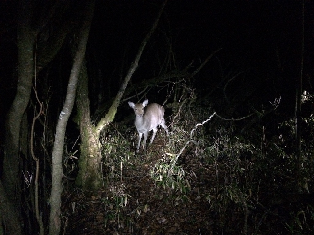 f:id:kitahonami:20161128182842j:image